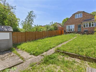 Picture 17
